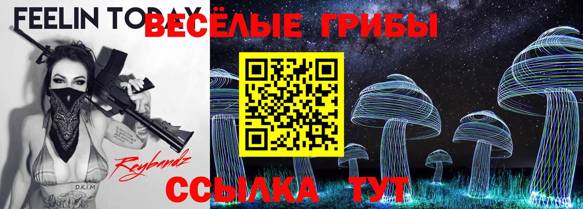 Ефремов  Галлюциногенные грибы Psilocybe  Вход с VPN  Галлюциногенные грибы прущие грибы 