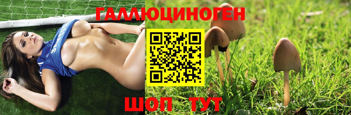Псилоцибиновые грибы Cubensis Ефремов